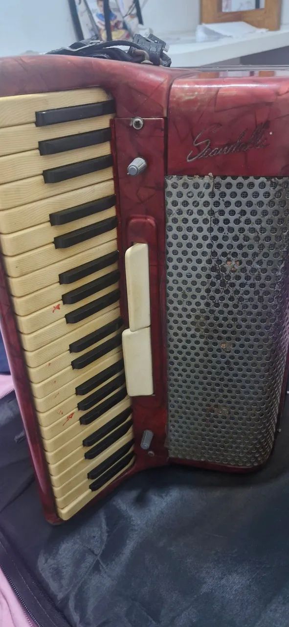 Arcodeon safona 120 baixos 