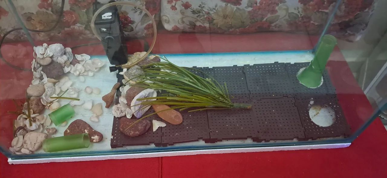 Aquário 64 litros,  com acessórios  - Foto 3