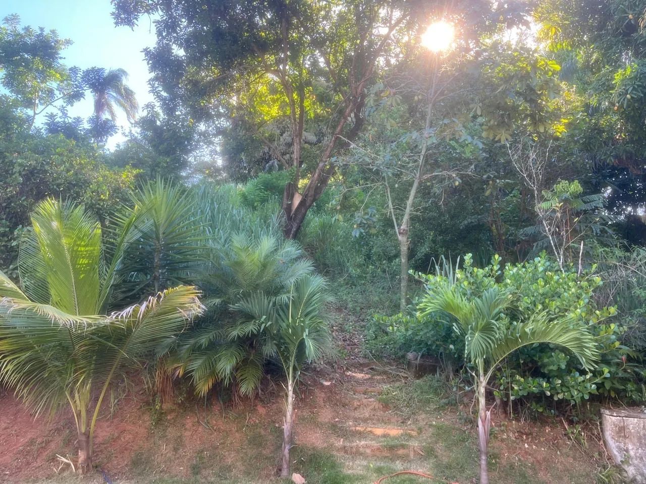 Chácara próxima a Timóteo - Foto 5