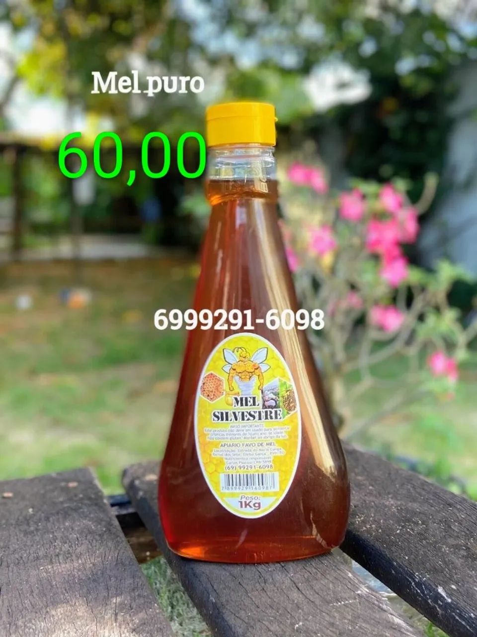 Mel Apiário próprio 