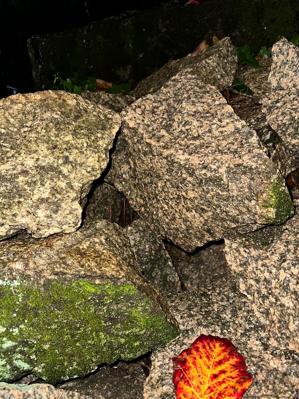 Pedra