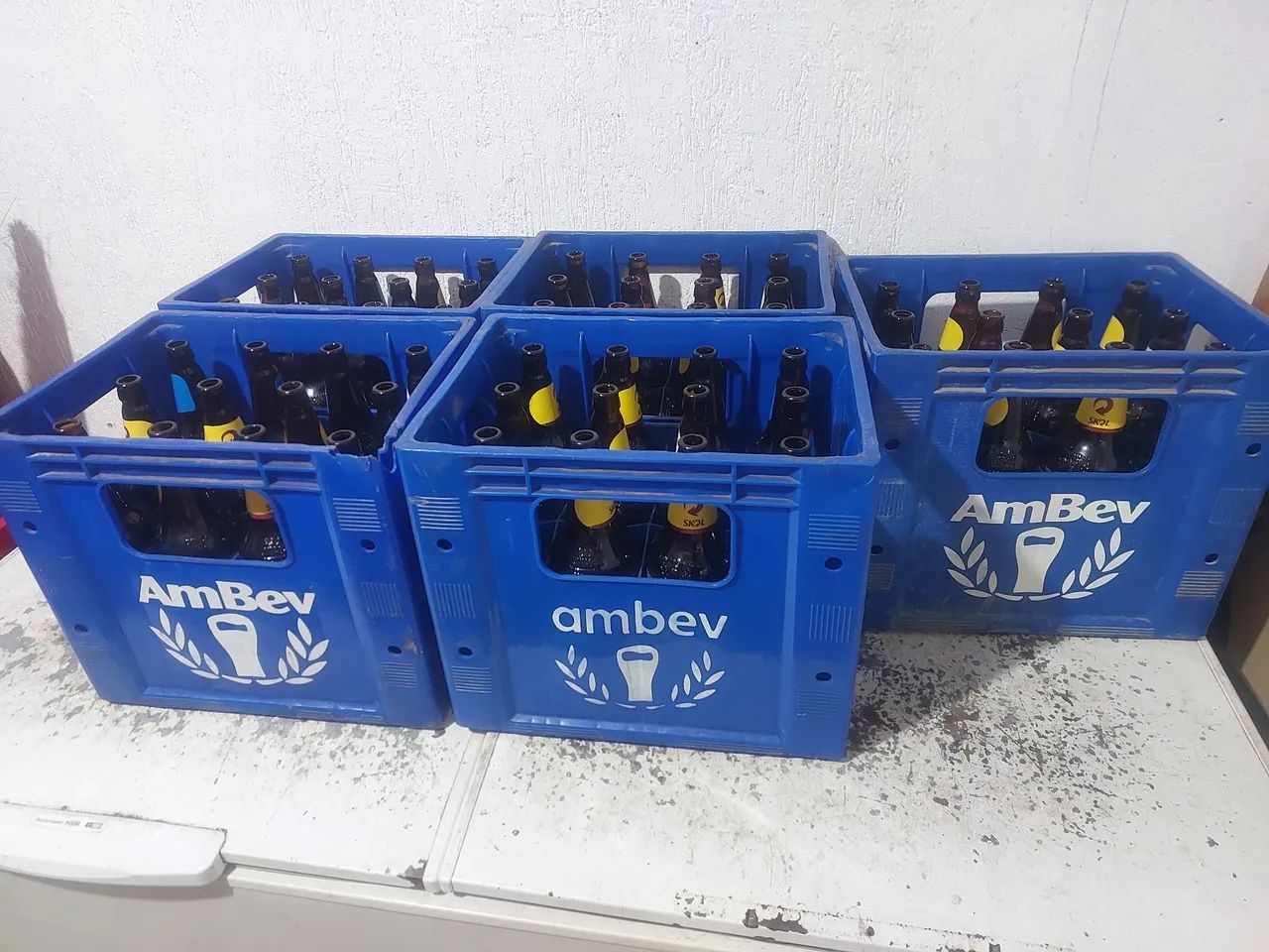 VENDE-SE 05 GRADES DE SKOL LITRAO oo