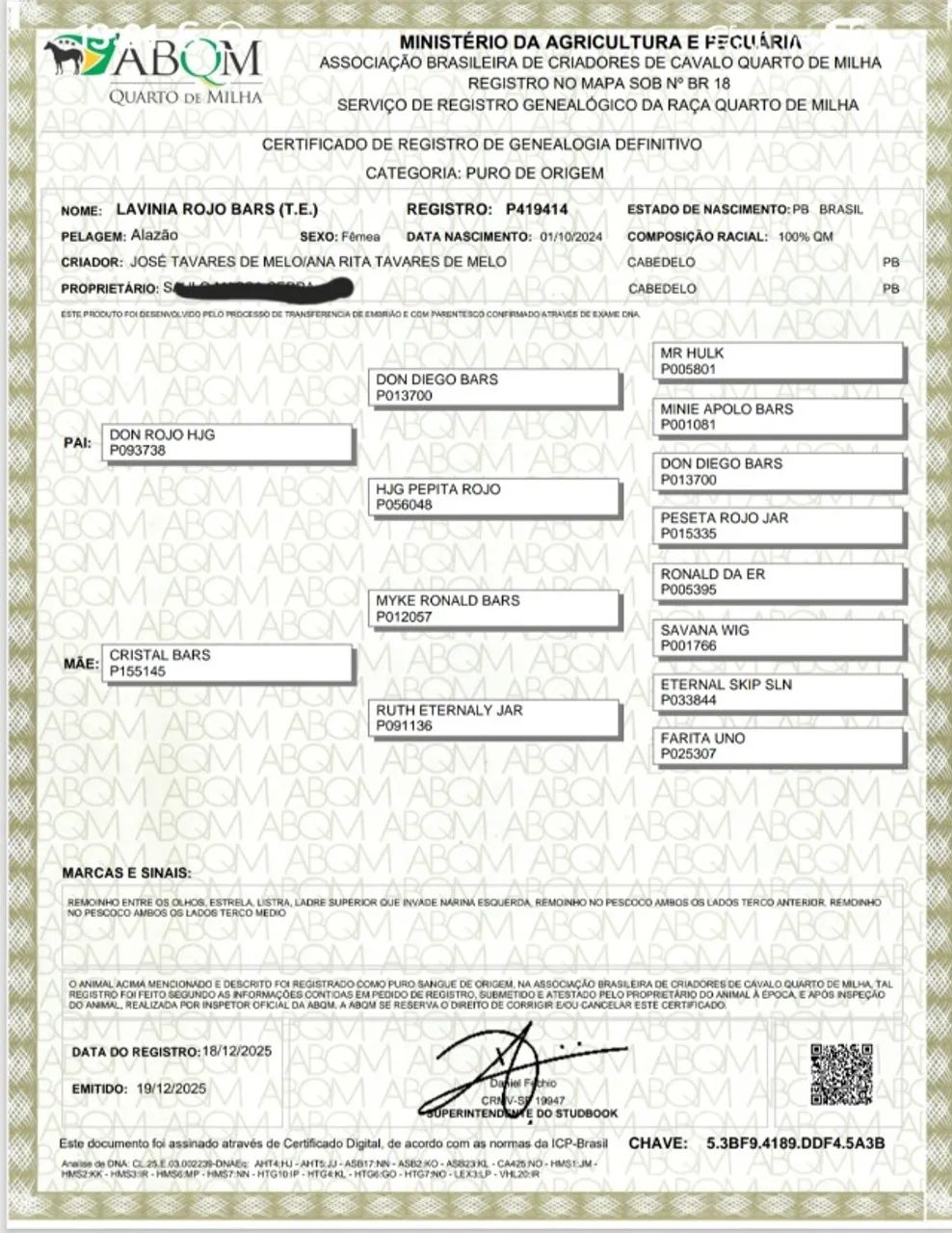 Potra Quarto de Milha -Filha do Dom Rojo. - Foto 3