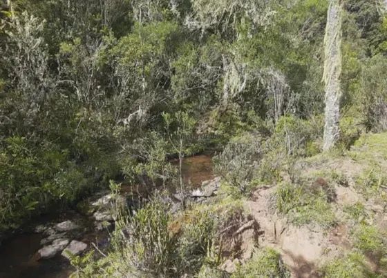 Fazenda/Sítio/Chácara para venda tem 580000 metros quadrados em Perico - São Joaquim - SC - Foto 5