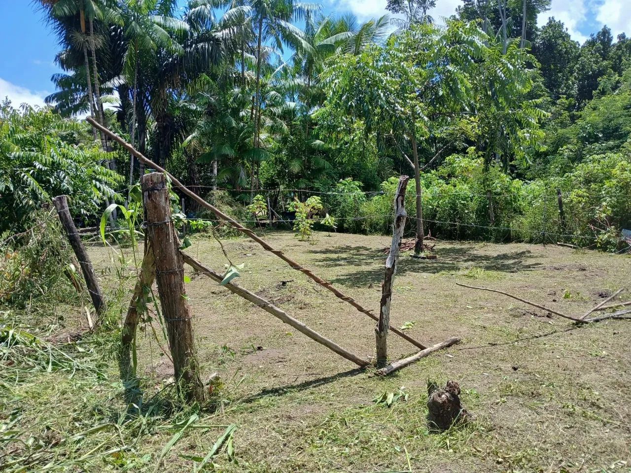 EM COTIJUBA  - Foto 2