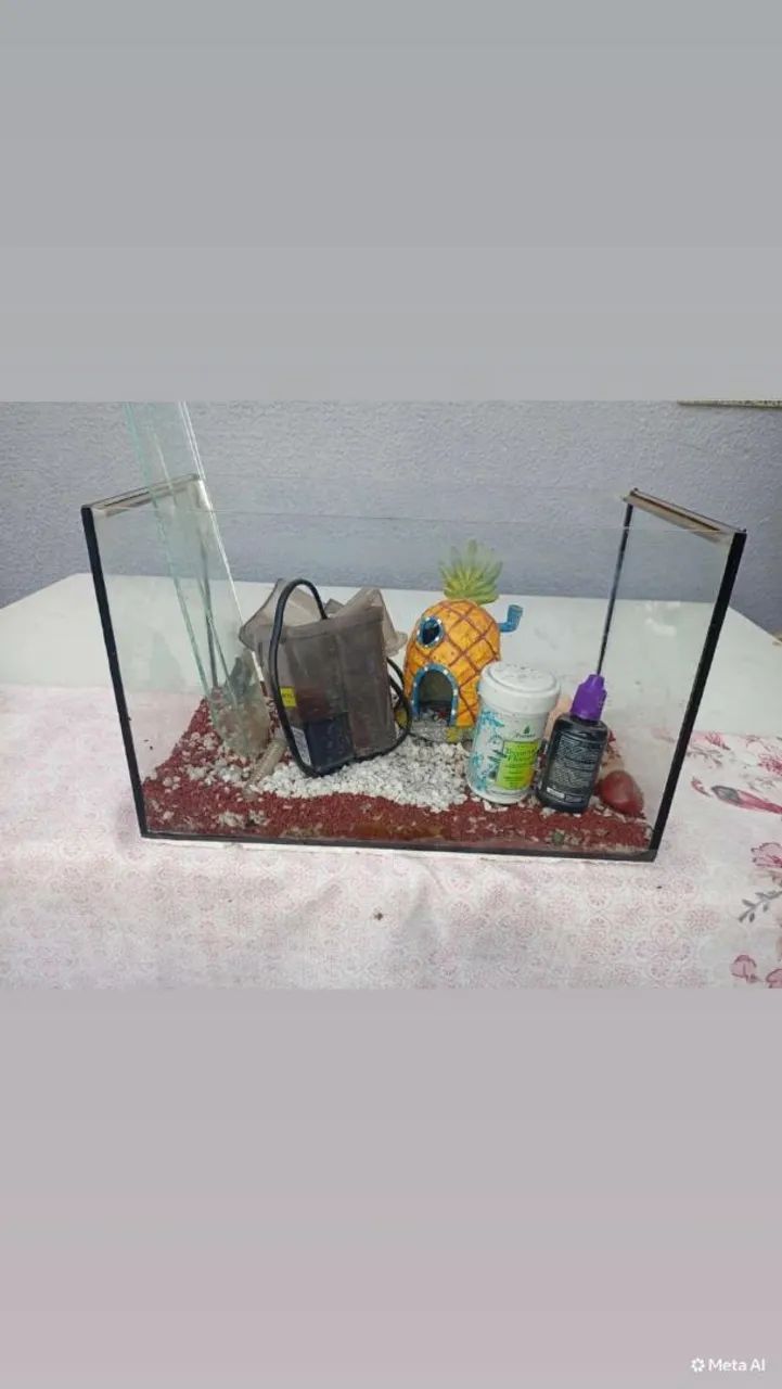 Aquário  - Foto 2