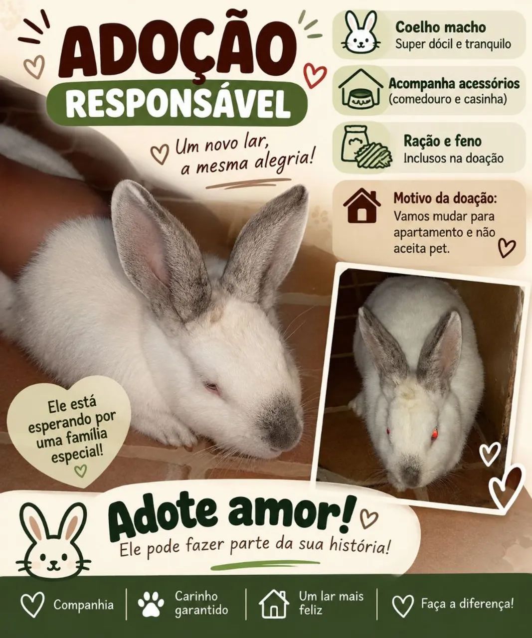 DOAÇÃO RESPONSÁVEL- DUDU