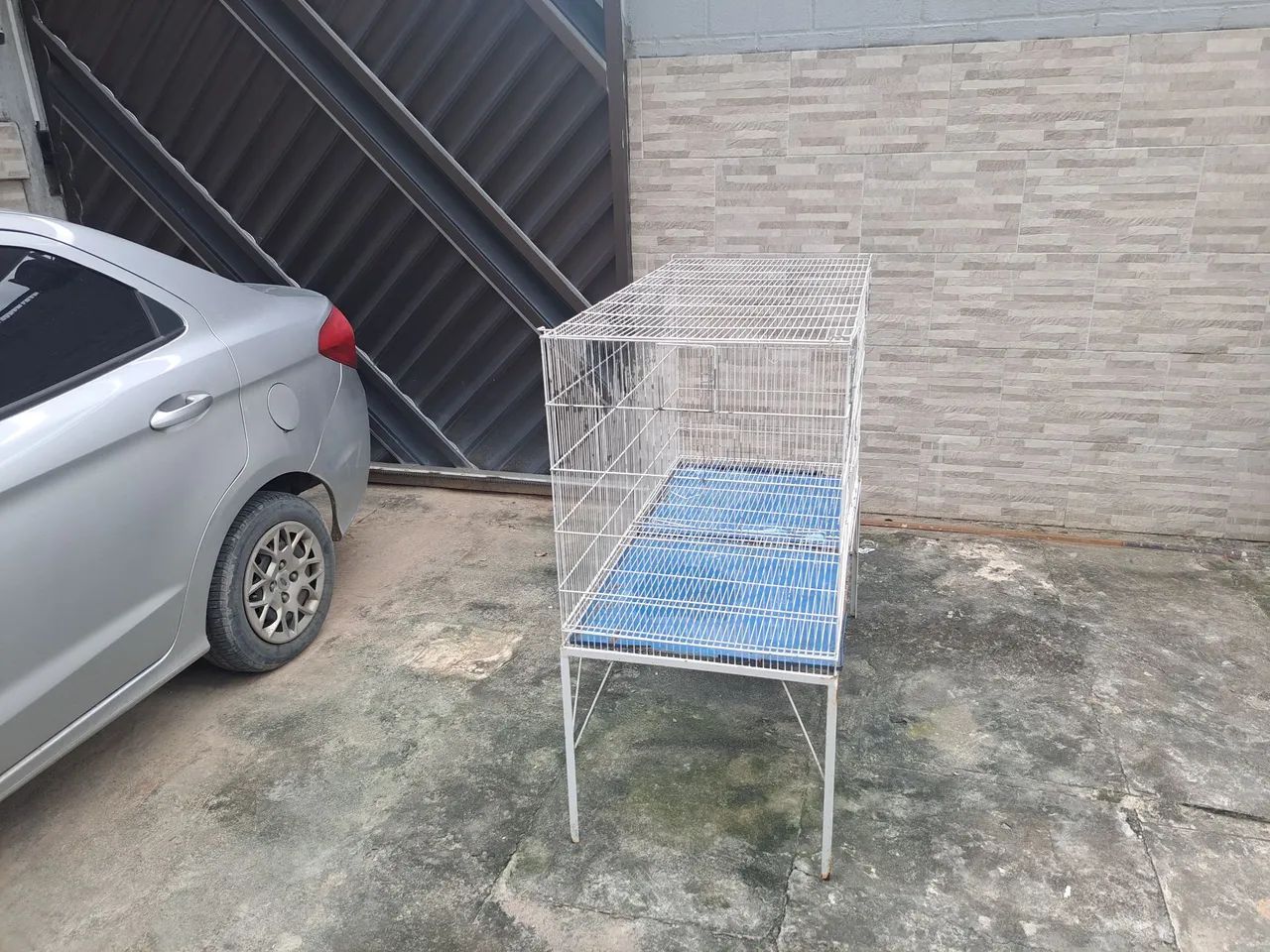 Viveiro oara pássaros 