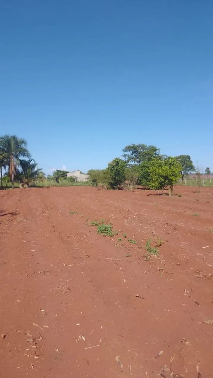 ? Chácara de 7 hectare,  em Rio Verde/MS - Foto 4