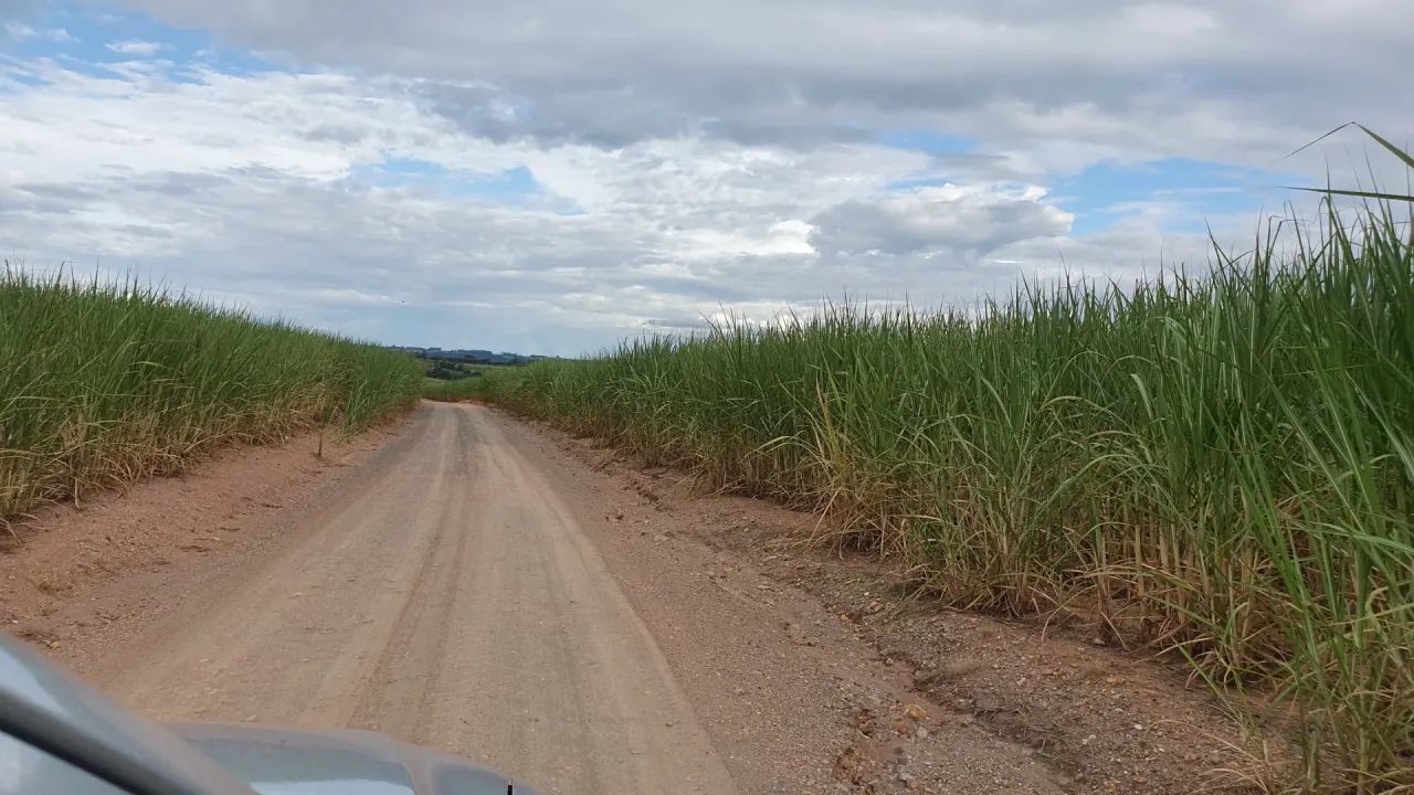 Fazenda á venda Piracicaba SP - Foto 4