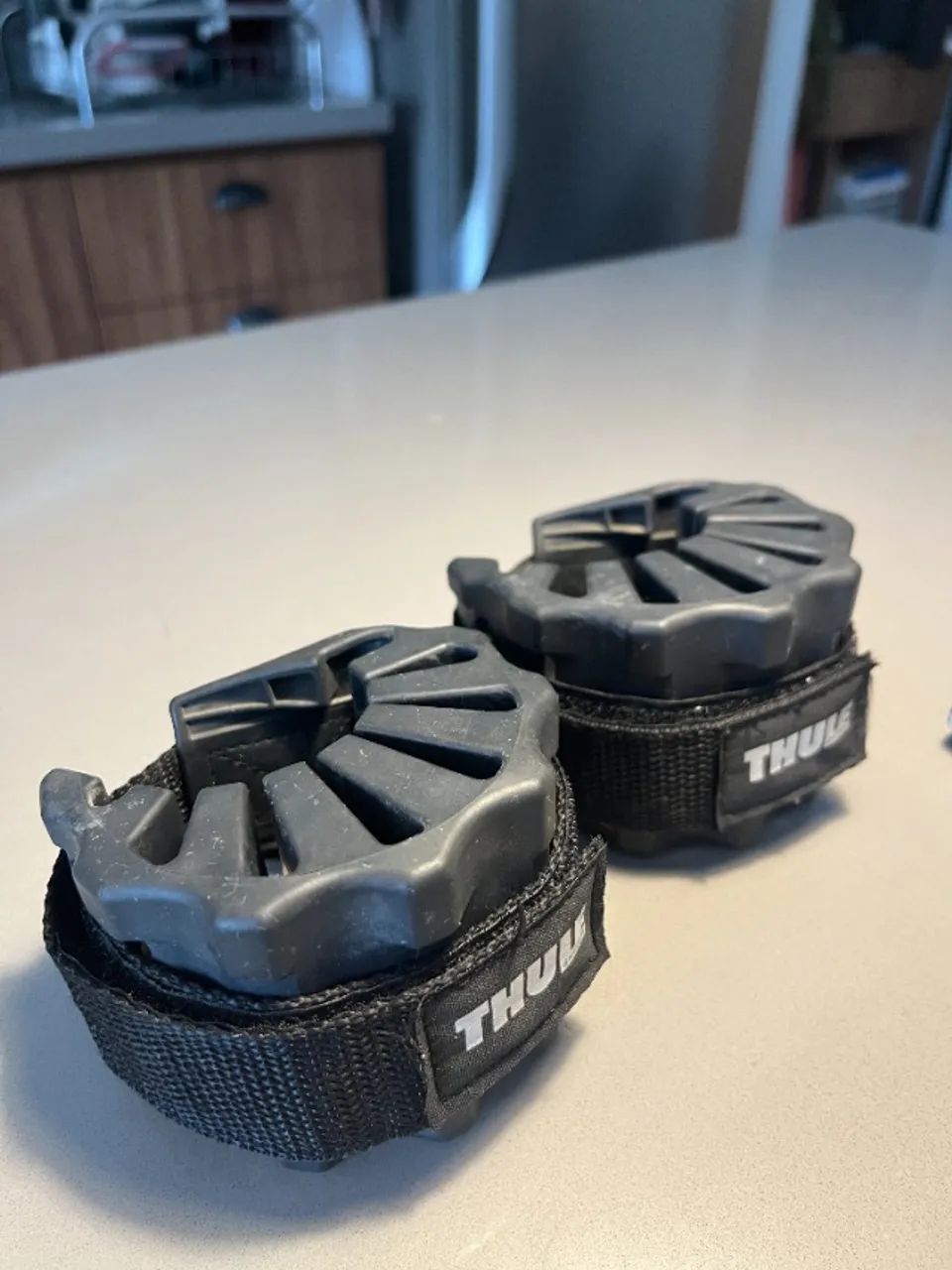 Thule bike protector