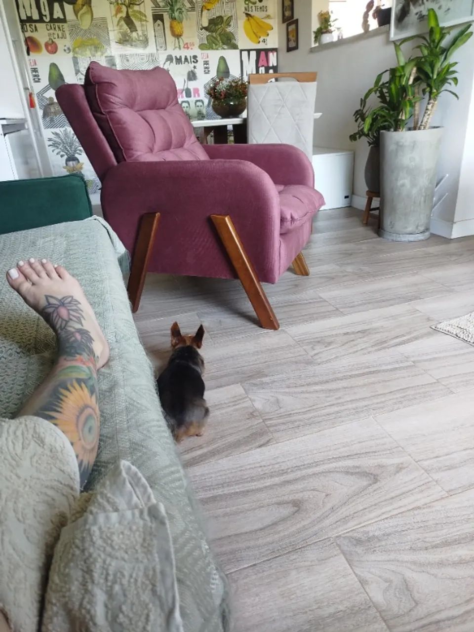 Poltrona 65568164027905120