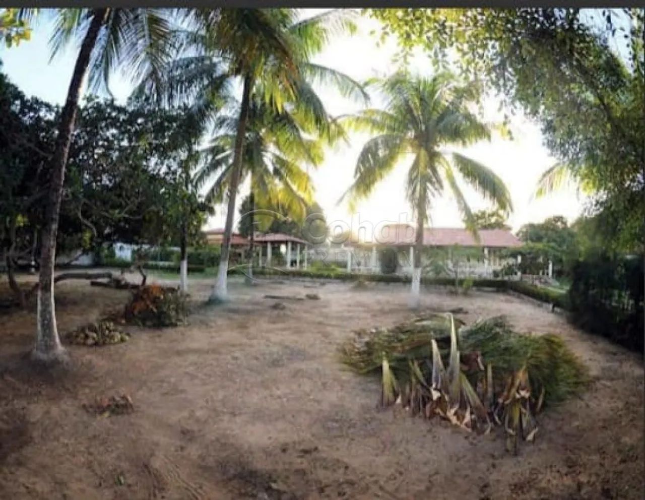 Chácara à venda no Povoado Areia Branca - Foto 15