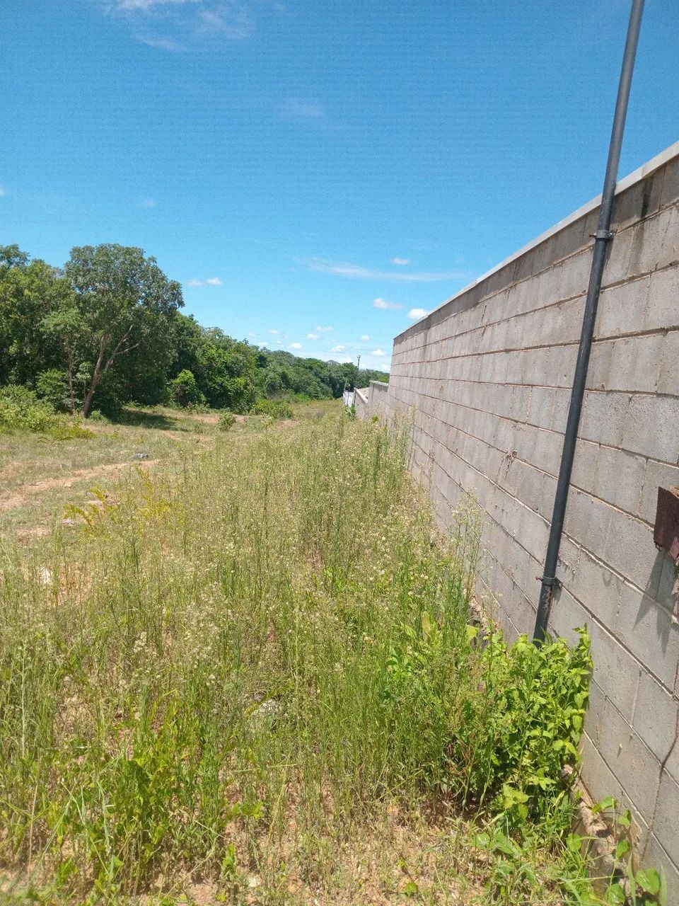 Serviços jardinagem - Foto 2