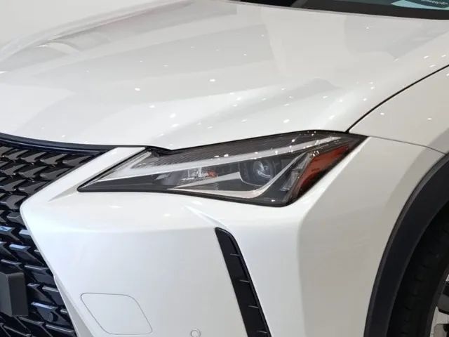 Lexus UX-250h Dynamic 2.0 16V Aut.(hybrid), foto 8 de 20