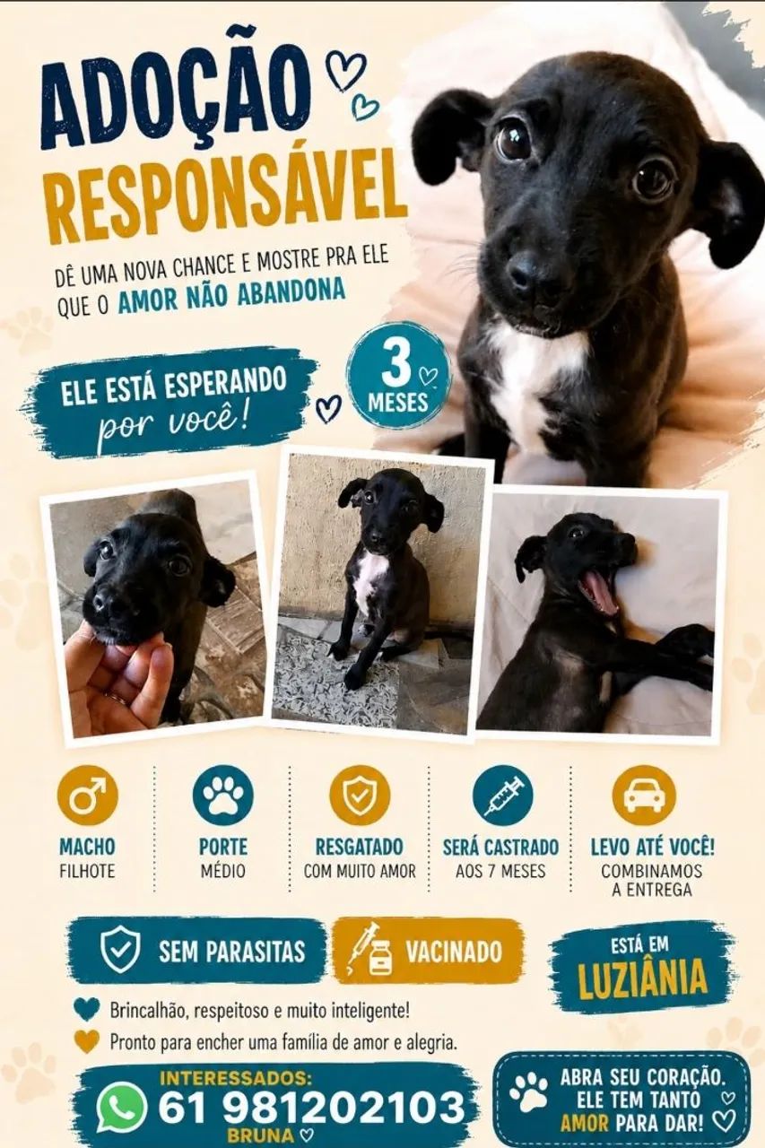 Doação