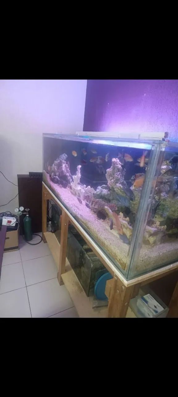 Aquário 800 litros - Foto 4