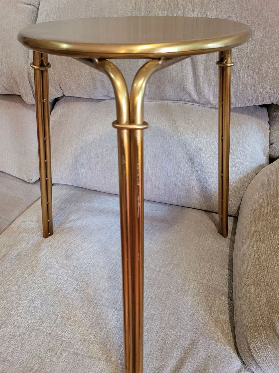 Branquinho dourado - Foto 2