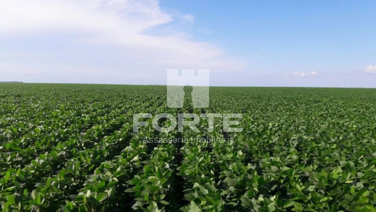 Fazenda a venda no município de Goiatins -Tocantins - Foto 3