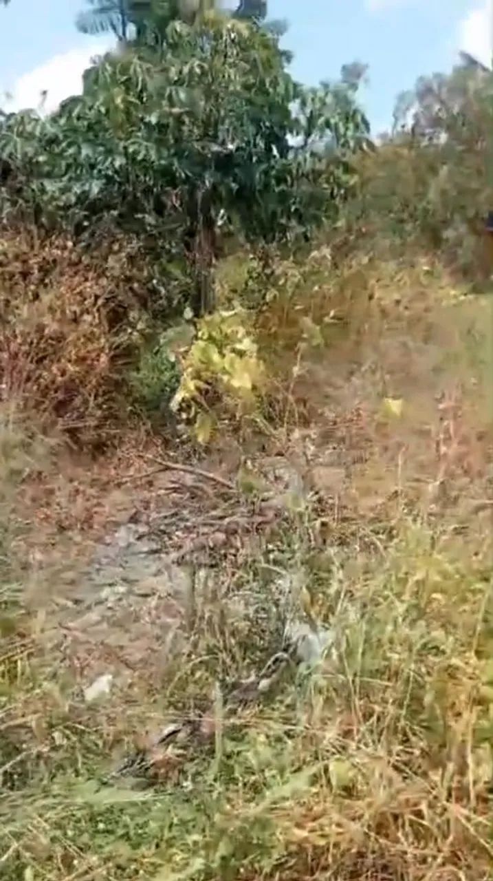 Vendo terreno em augusto corrêa 