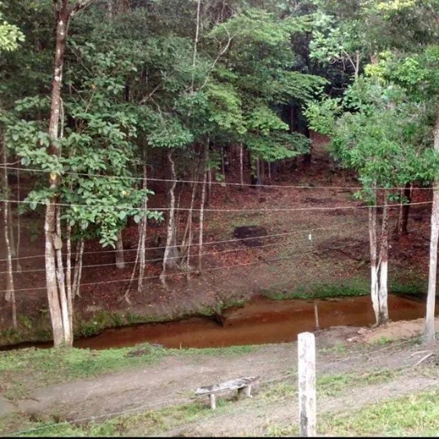 Um verdadeiro Paraíso! - Foto 4