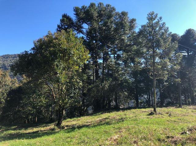 Excelente terreno a venda em Urubici.