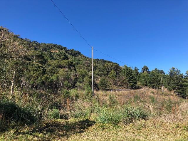 Excelente terreno a venda em Urubici. - Foto 8