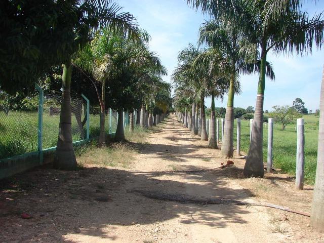 Fazenda 90 Hectares Prox. Sorocaba - Foto 20