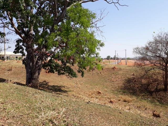 Terreno São Luis Montes Belos - Foto 10