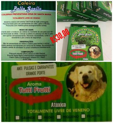 Coleira repelente natural