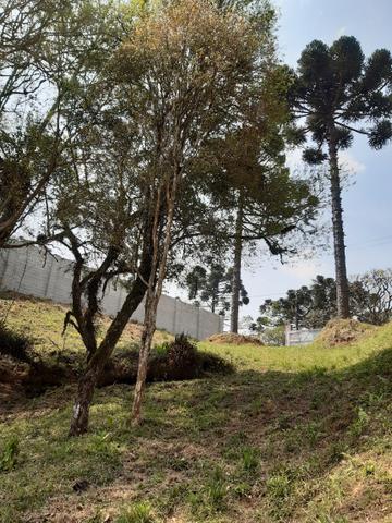 Chácara em perímetro urbano São José dos pinhais - Foto 4