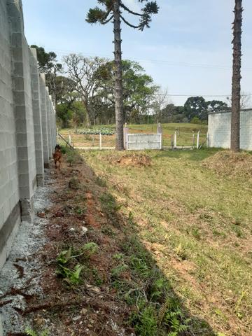 Chácara em perímetro urbano São José dos pinhais - Foto 10