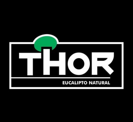 Lenhas Thor - Foto 5