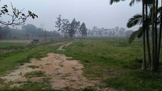 Vendo Sitio em Tijucas - Foto 5