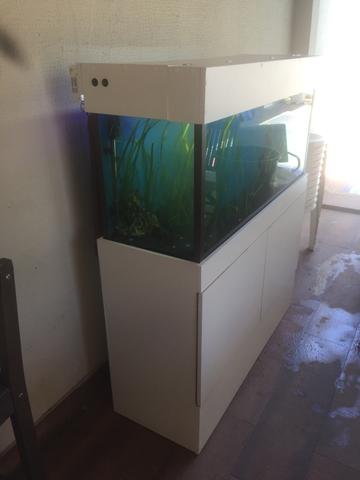 VENDO AQUARIO 240l - Foto 4