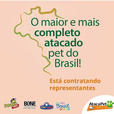 Representante Comercial - Segmento Pet