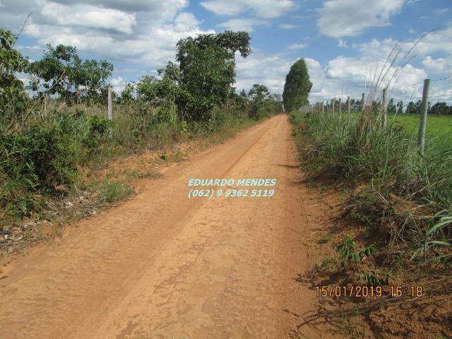 Terra c/ um alqueire sem benfeitorias, 600 metros da BR 060 Abadiânia, expansão Urbana - Foto 3