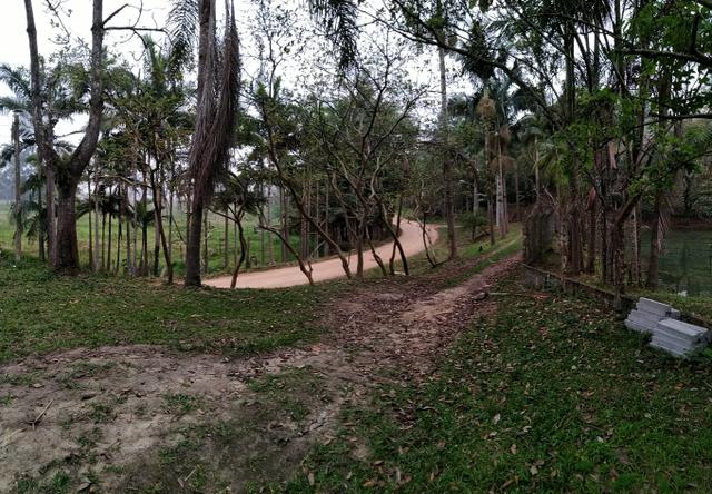 Vendo Sitio em Tijucas