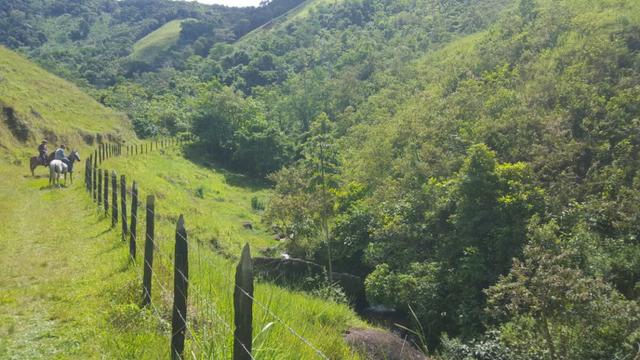 Sítio de 14 alqueires ou 68.320 hectares em Silva Jardim RJ - Foto 8