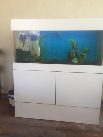VENDO AQUARIO 240l - Foto 6