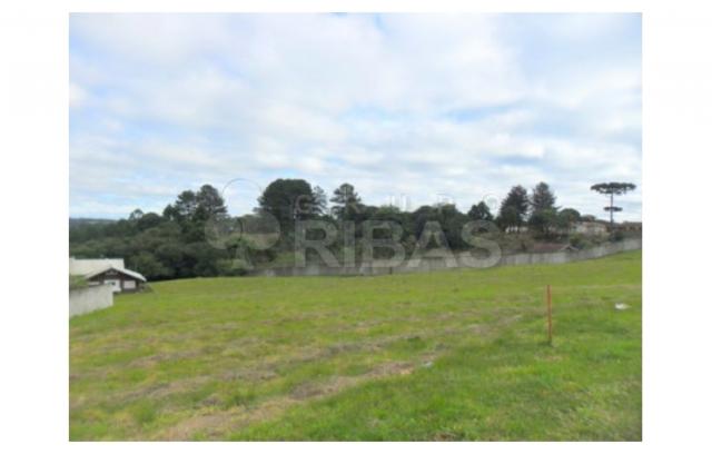 Terreno residencial à venda, vila torres i, campo largo - te0117. - Foto 8