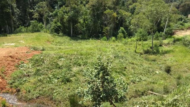 Vendo - Chácara em Alto Peçanha - Região da Pedra Azul - Domingos Martins