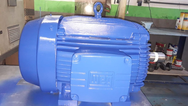 Motor Weg 1180 RPM trifásico 4 polos
