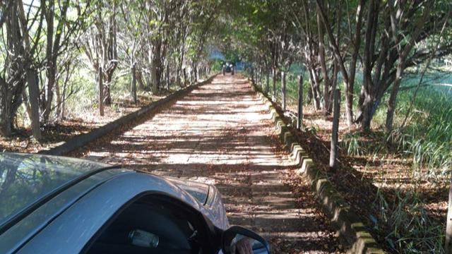 Vendo Fazenda 57 Alqueires