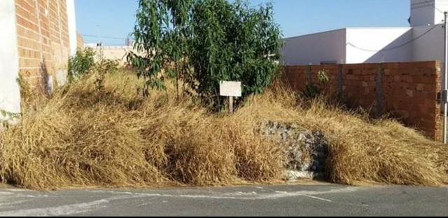 Vendo lote Campo Belo MG