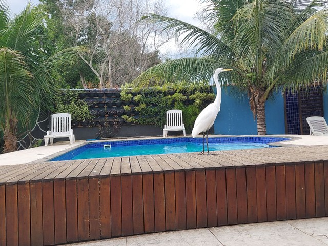 Casa para FDS e Festas e temporada - Foto 10