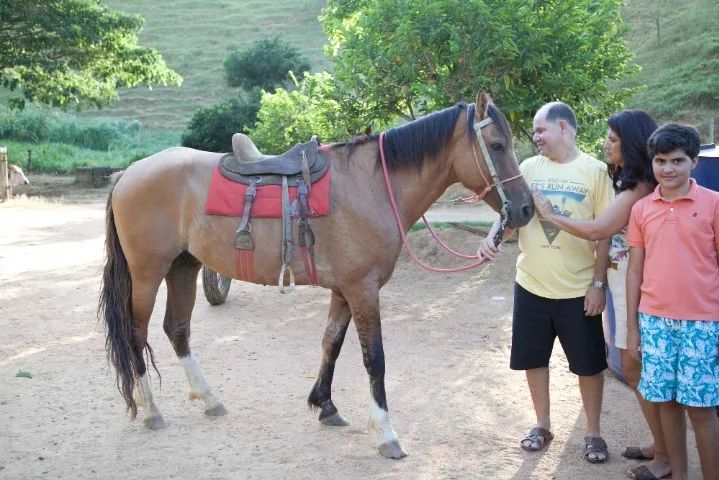 Vendo cavalo de campo - Guarapari, ES - Foto 3