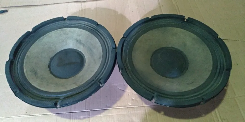 ALTO FALANTE 12 POLEGADAS 200 WATTS PARA CAIXA ATIVA