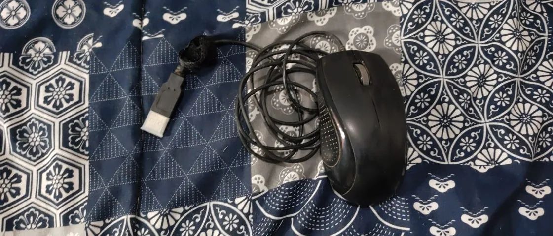 Mouse Usb Usado