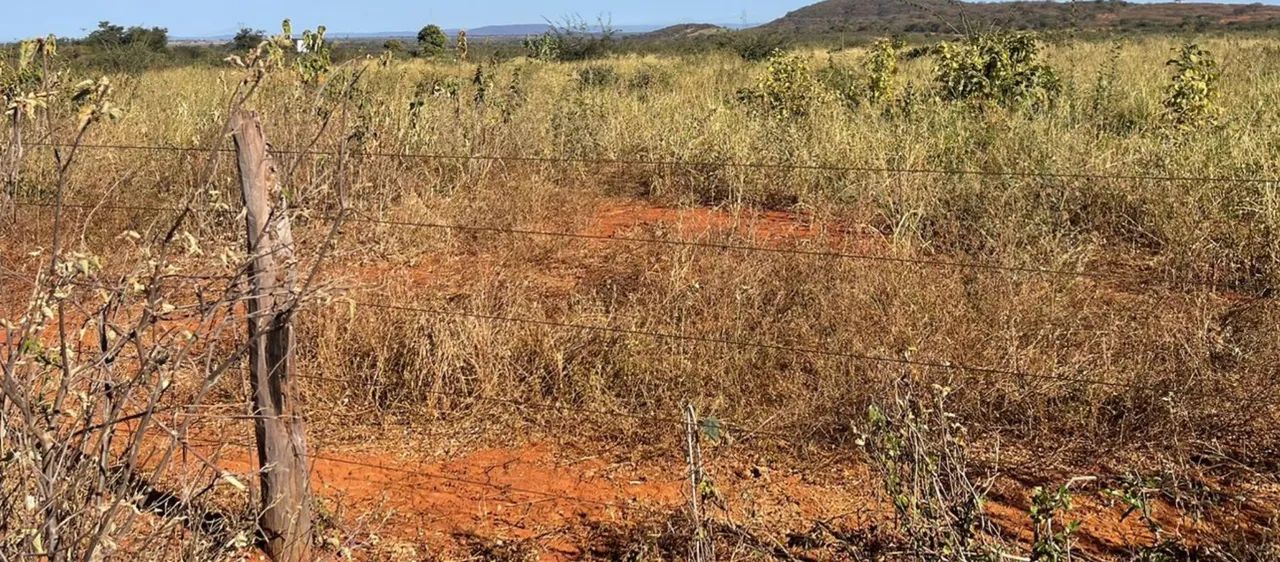 Area 240 Hecatres!! Escriturada e Geo Referenciada!!!Aceita veiculo e Imovel...